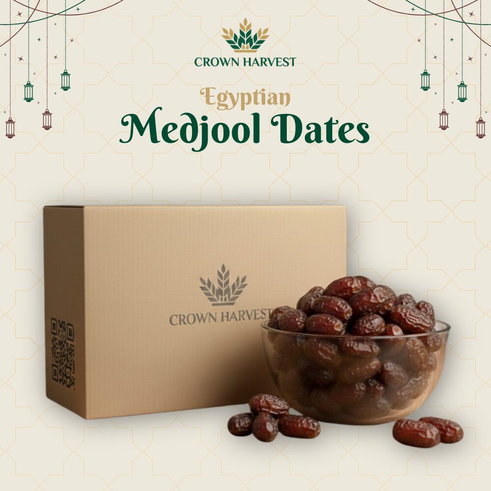 egyptian medjool dates (large) egyptian medjool dates (large)